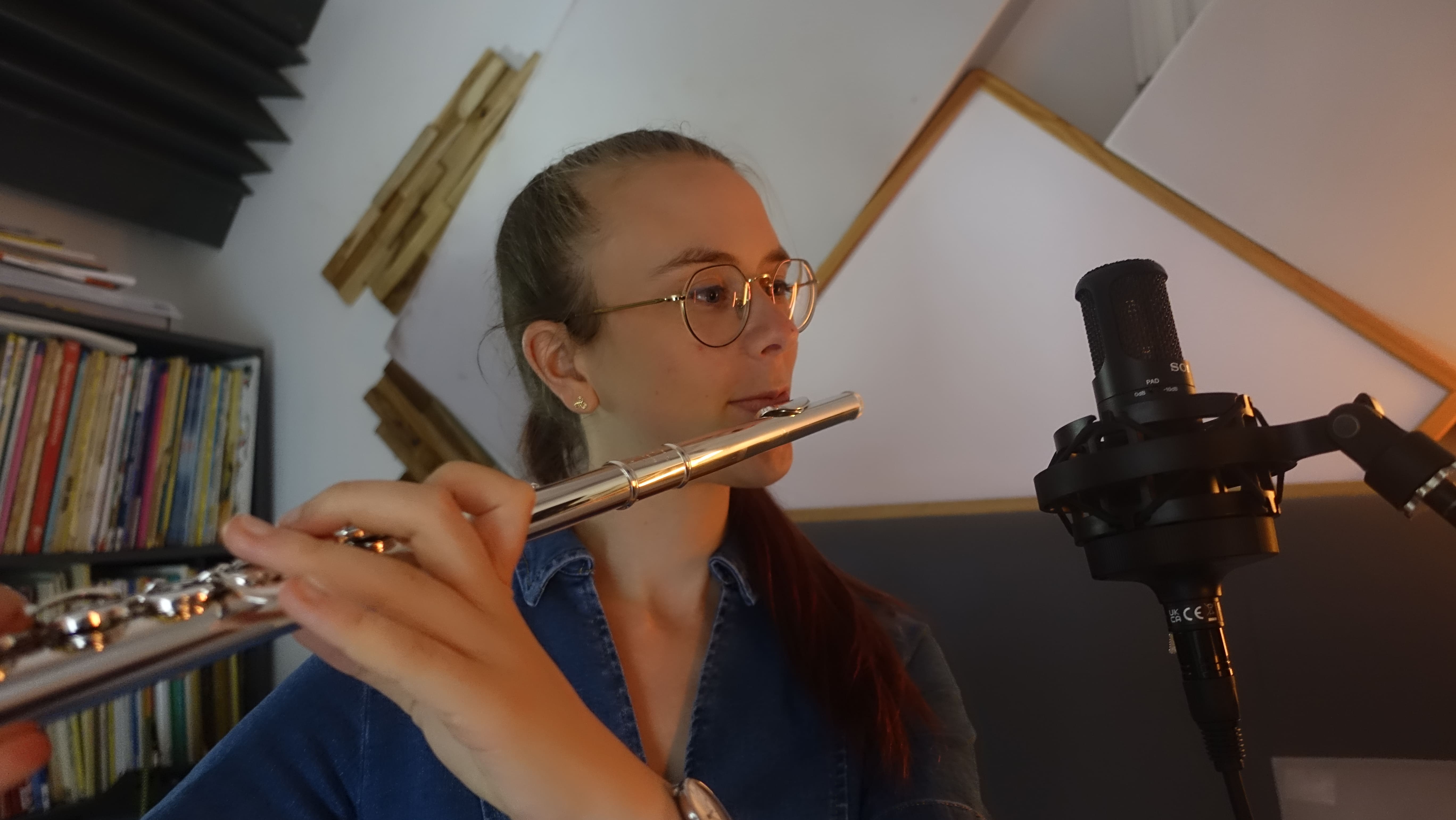 Prise flute — Sony C-80