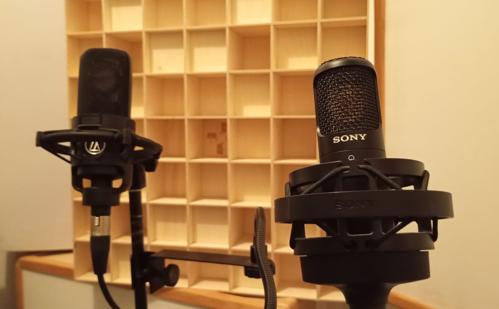 Professional studio microphones
